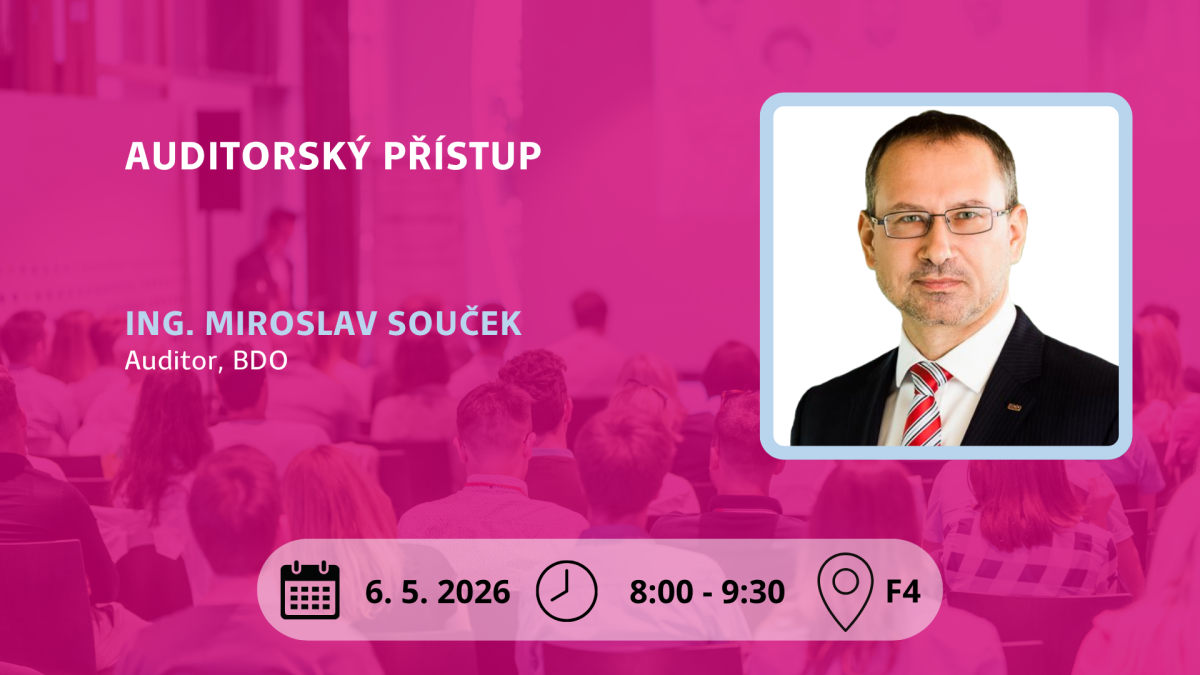 Auditorsky_pristup 6.5