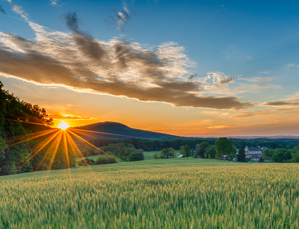 banner-web-ef-ju-kalendar-1200-x-917-px