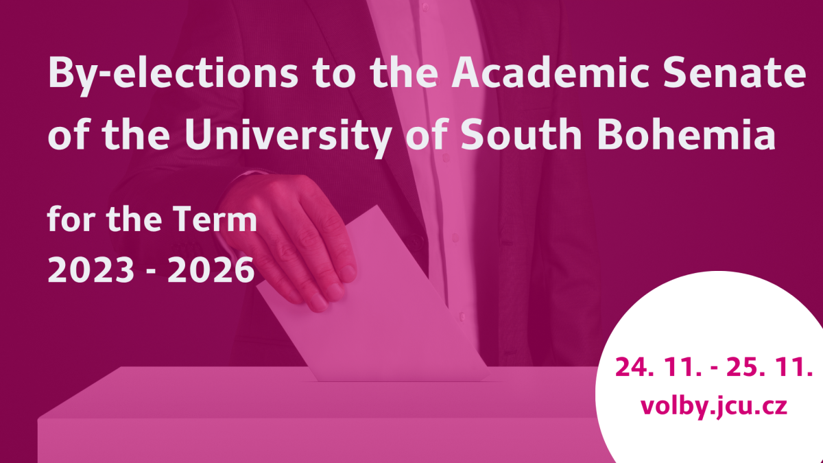 Kalendar_doplnovaci volby_AJ